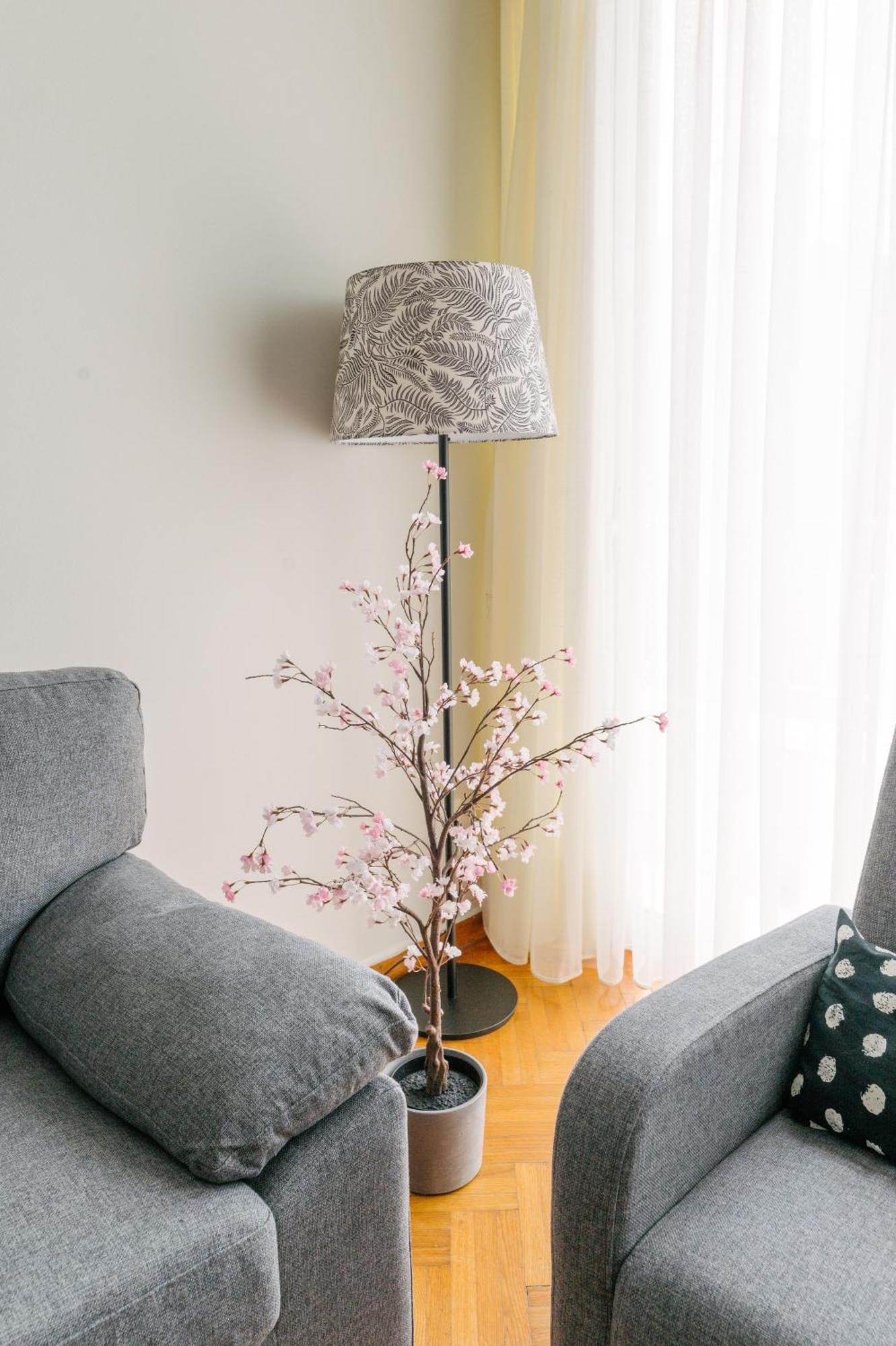 Erato By Heloni Apartments アテネ エクステリア 写真